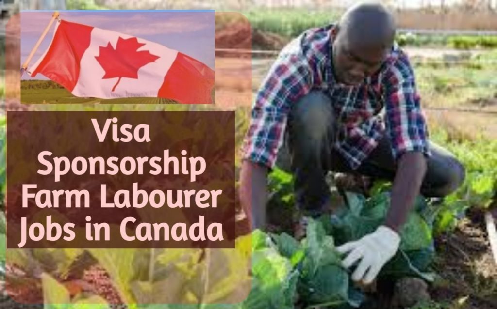 Farm Hand/Labourer Job at Skyline Farms Inc. in Canada (Visa Sponsorship)