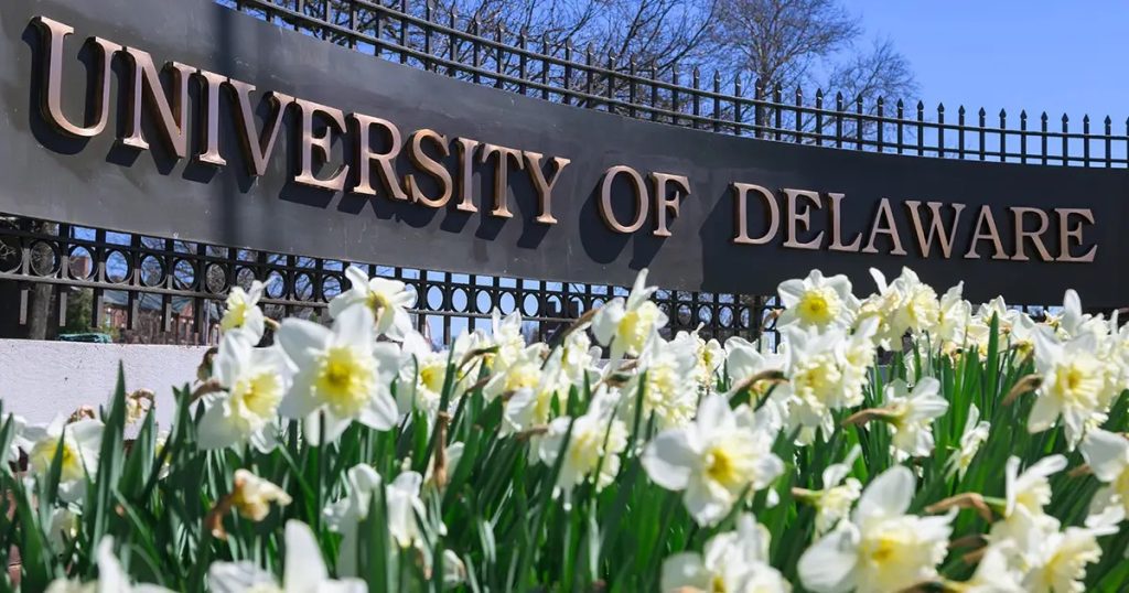 University of Delaware fully funded scholarship 2024/25 - Free Application is available